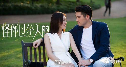 娱乐圈吃瓜圈内人有哪些